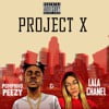 Project X