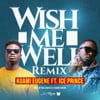 Wish Me Well (Remix)