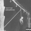 AMADEUS