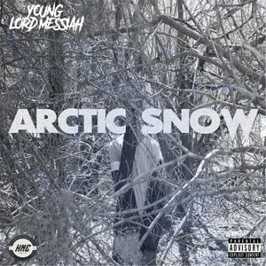 Arctic Snow