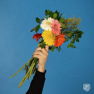 Flores y Ataúdes