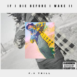If I Die Before I Wake II