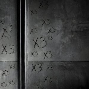x3