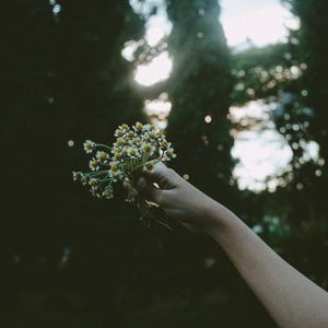 lovely