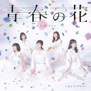 青春の花/スタートライン
