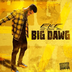Big Dawg