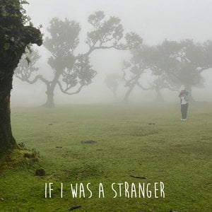 If I Was A Stranger