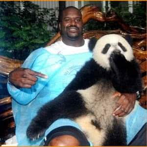 Shaquille O'Neal