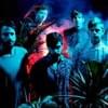 Foals