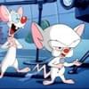 Pinky & The Brain