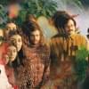 Mild High Club