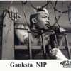 Ganksta Nip