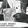 Alien Brains