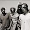 Incubus
