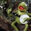 Kermit the Frog