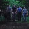 The Last Of Us