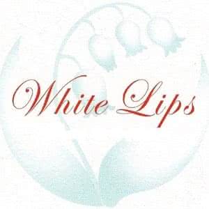 僕と 僕らの夏 Lyrics By White Lips