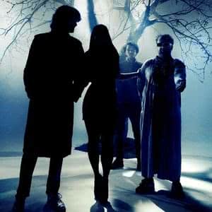 Guillemots