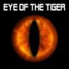 Tiger Eye