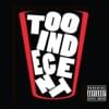 Too Indecent