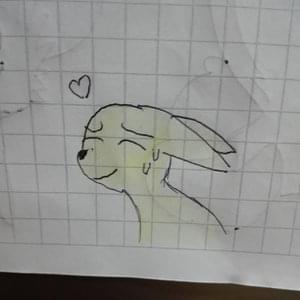 Lil Fox
