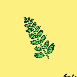 FouKi