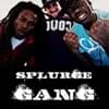 Splurge Gang