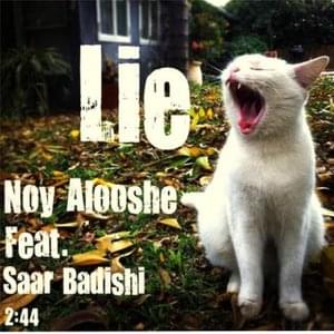 Noy Alooshe