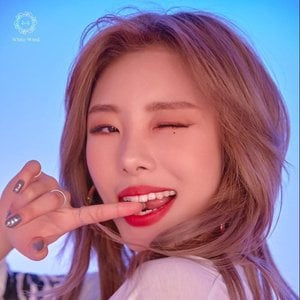 WheeIn