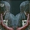 Faceless Sage