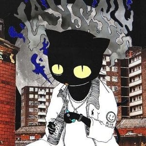 Lausse The Cat
