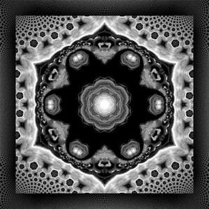 Noitom3