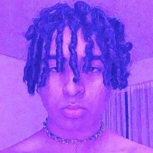 Unodavid