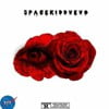 SpaceKidd