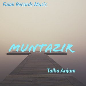Talha Anjum