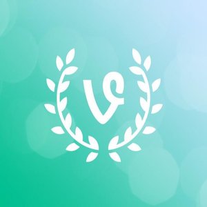Vine App