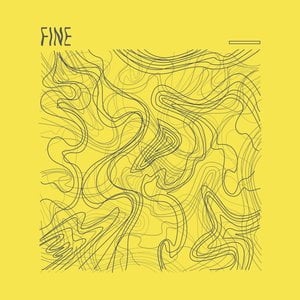 Fine Cj