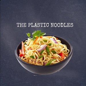 The Plastic Noodles