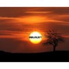 MarsBeats (Producer)