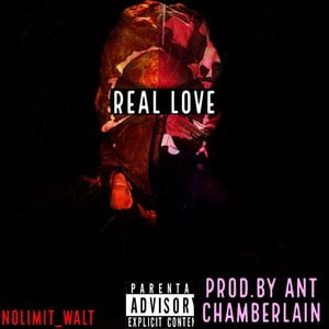 NSG WALT