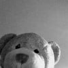 Bear Bear Raps