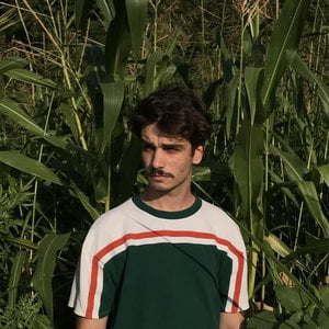 Fran Vasilić