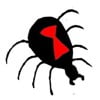 SPIDER GANG