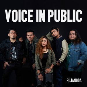 VOICE IN PUBLIC