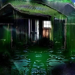 Shed Theory