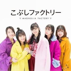こぶしファクトリー (Kobushi Factory)