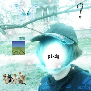 Plxdy
